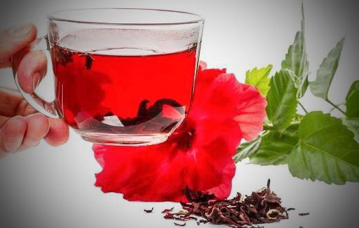 خواص بی نظیر چای ترش برای رژیم درمانی سالم برای سلامتی بدن