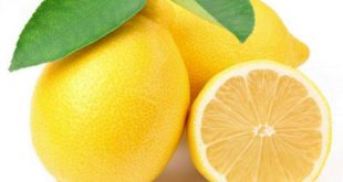 معرفی خواص لیمو ترش برای مراقبت و حفظ سلامتی پوست و انواع ماسک های مناسب