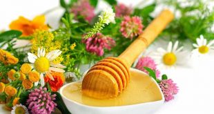 خواص عسل و انواع عسل های گیاهی که تاکنون نامش را نشنیده اید.
