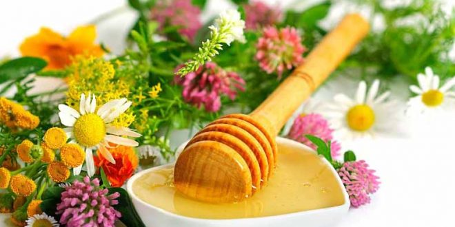 خواص عسل و انواع عسل های گیاهی که تاکنون نامش را نشنیده اید.
