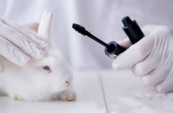 کرولتی فری Cruelty-Free و تست محصولات آرایشی روی حیوانات چیست ؟