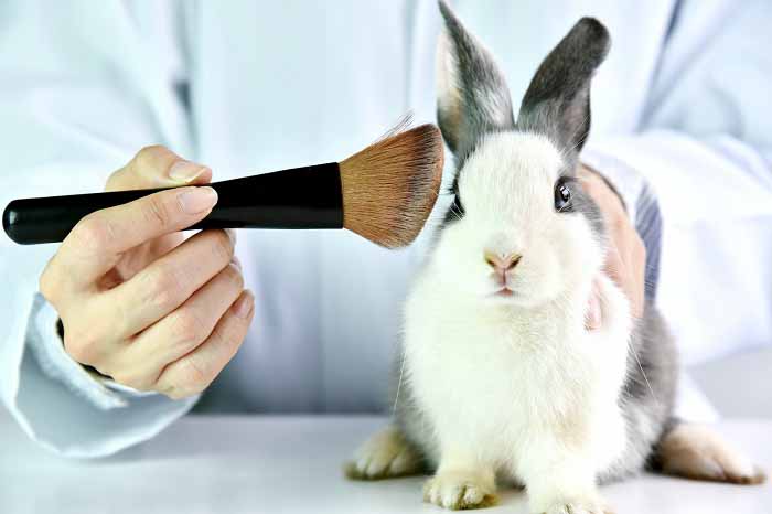 کرولتی فری Cruelty-Free و تست محصولات آرایشی روی حیوانات چیست ؟