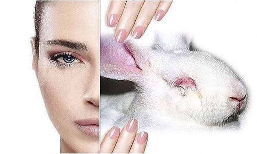 کرولتی فری Cruelty-Free و تست محصولات آرایشی روی حیوانات چیست ؟